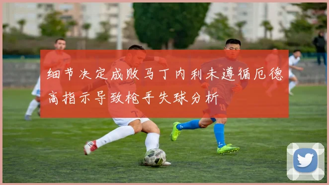 细节决定成败马丁内利未遵循厄德高指示导致枪手失球分析
